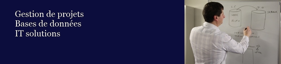 Gestion de Projets, IT, Windev, 